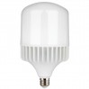 LED лампа индустриална 50W 220V E27 CW 6500K 4500lm Lightex