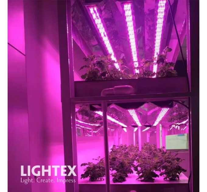 LED линейно тяло за растеж и цъфтеж на растения 250W White+Red+Blue+IR+UV 220V 12500lm IP65 Lightex