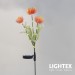 LED соларна лампа SANTE 0.03W 3000K 10lm IP44 AA Ni-MH 1.2V 200mAh оранжева Lightex