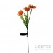 LED соларна лампа SANTE 0.03W 3000K 10lm IP44 AA Ni-MH 1.2V 200mAh оранжева Lightex