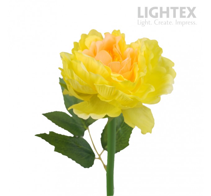 LED соларна лампа PEONY 0.018W 6000K 5lm IP44 AA Ni-MH 1.2V 100mAh жълта Lightex