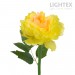 LED соларна лампа PEONY 0.018W 6000K 5lm IP44 AA Ni-MH 1.2V 100mAh жълта Lightex