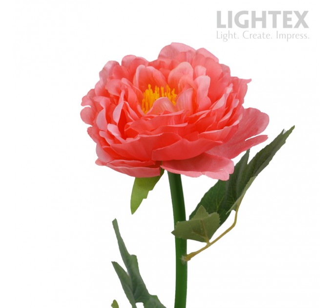 LED соларна лампа PEONY 0.018W 6000K 5lm IP44 AA Ni-MH 1.2V 100mAh розова Lightex