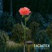 LED соларна лампа PEONY 0.018W 6000K 5lm IP44 AA Ni-MH 1.2V 100mAh розова Lightex