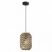 Пендел RAMONA  двуцветен 1xE27 170x1200mm Lightex